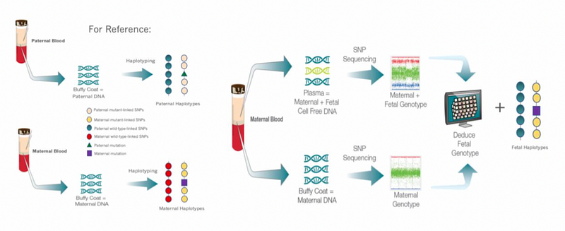 SNP-based Non-Invasive Screening Methods Overview