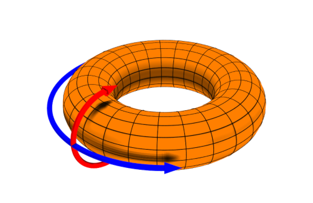 Poloidal surface diagram