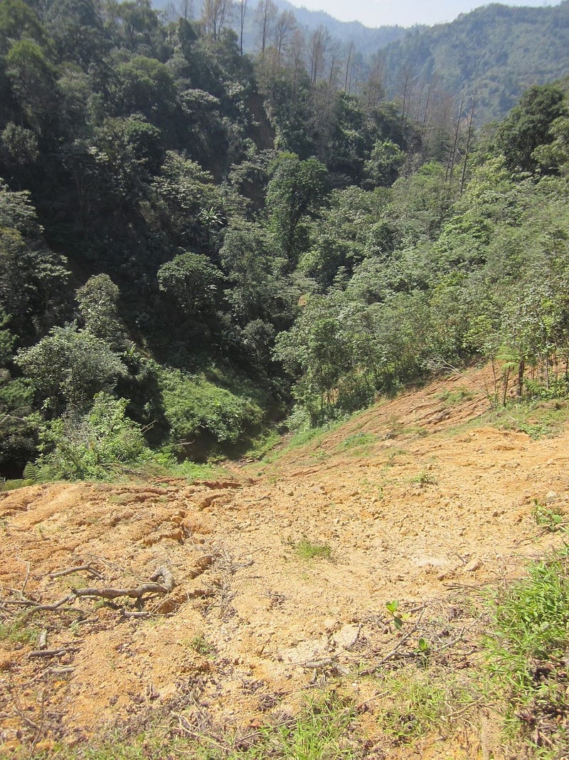 Landslide in Rio Negro, Comayagua, Honduras