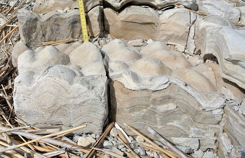 Ancient Stromatolites