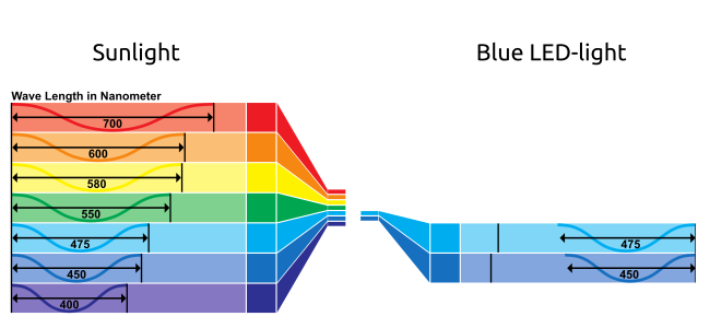 Comparison of natural light and artificial blue LED light