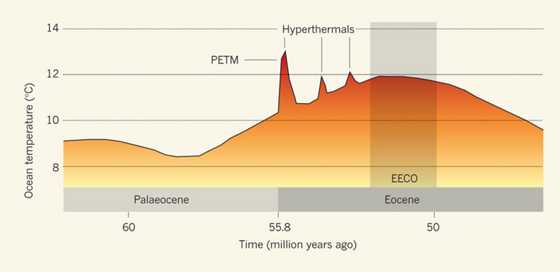 Chart comparing carbon accumulation rates