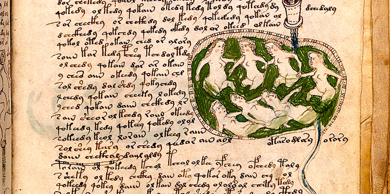 The Voynich Manuscript - A Medieval Mystery