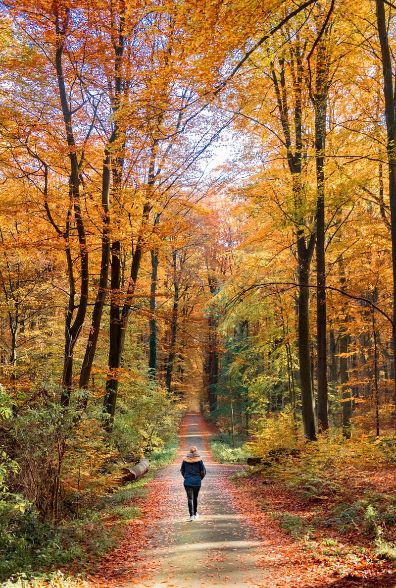 Nature walk to nourish the soul