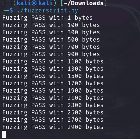 Running fuzzing script