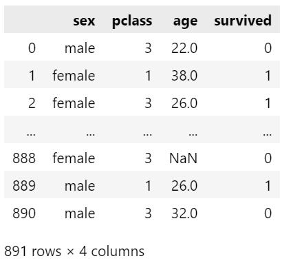 Example of Titanic dataset features of different data types