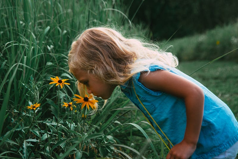 Ancient Humans and Their Olfactory World