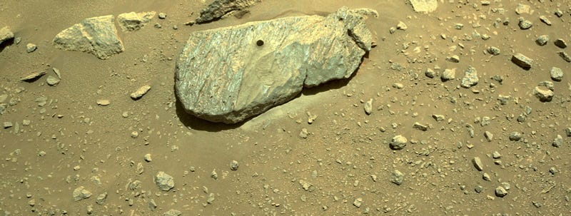 Martian rock sample collection