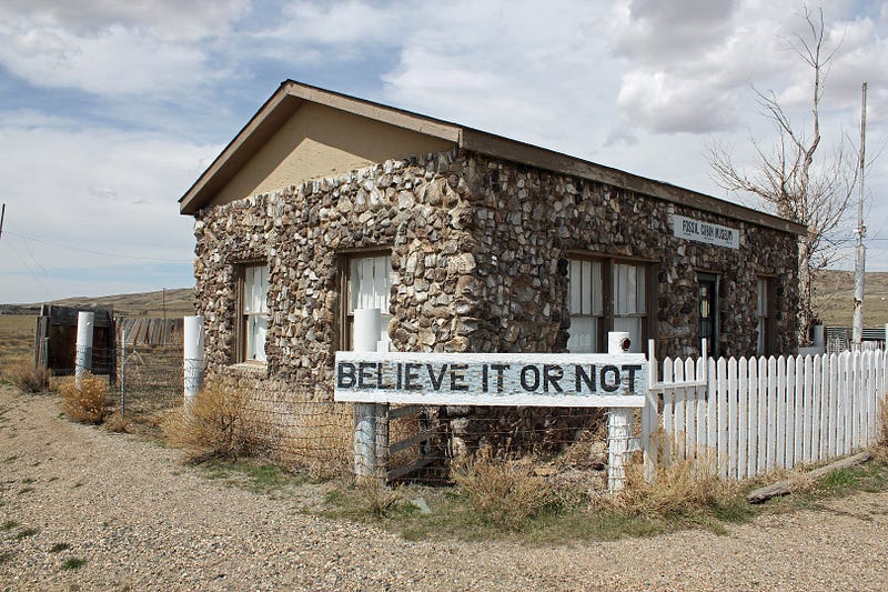 Fossil Cabin constructed from dinosaur bones