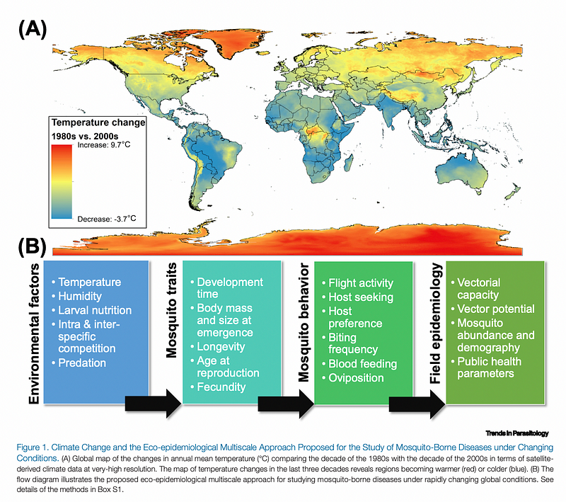 Climate change effects on mosquito populations